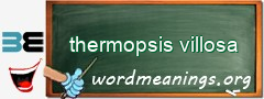 WordMeaning blackboard for thermopsis villosa